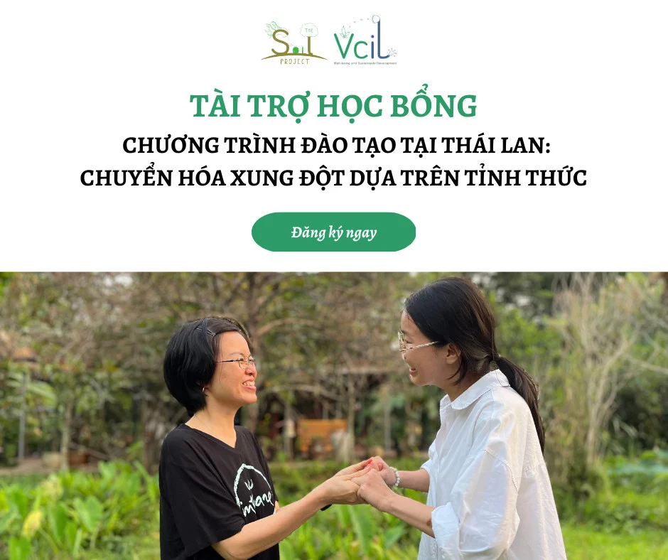 Xem ảnh gốc