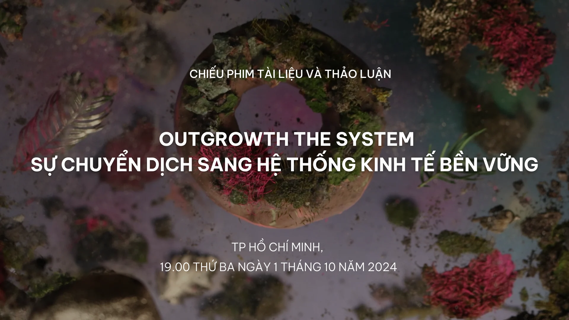 Xem ảnh gốc