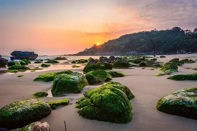 Bãi biển Nam Ô, Đà Nẵng