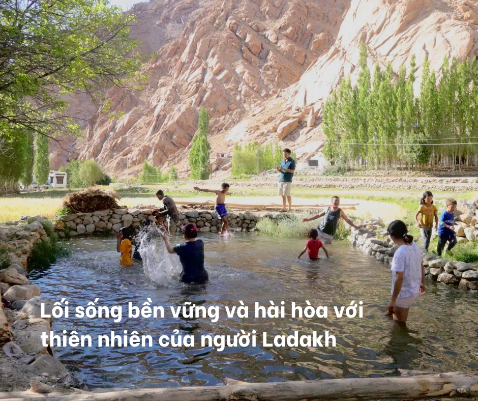 Xem ảnh gốc