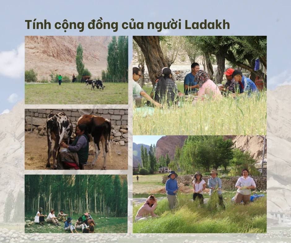 Xem ảnh gốc