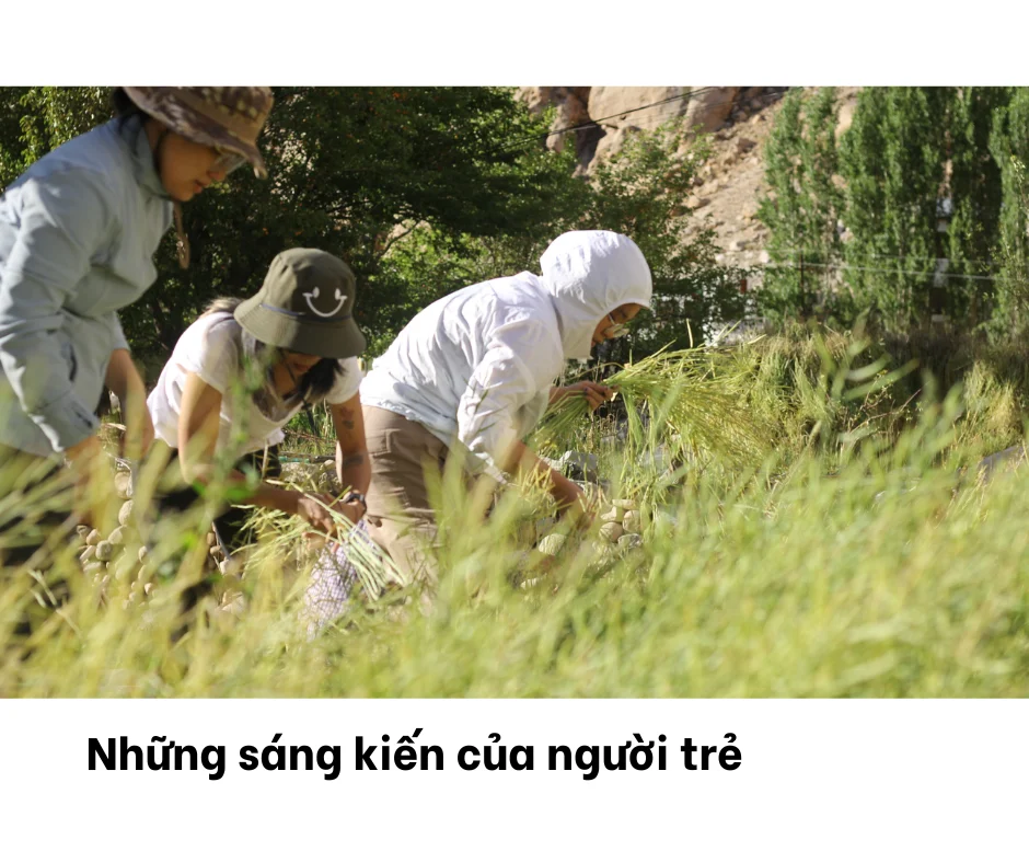 Xem ảnh gốc