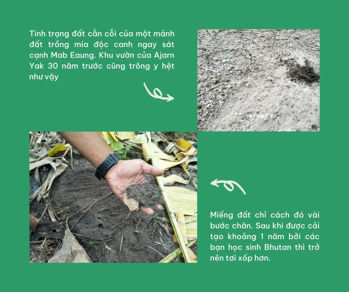 Xem ảnh gốc