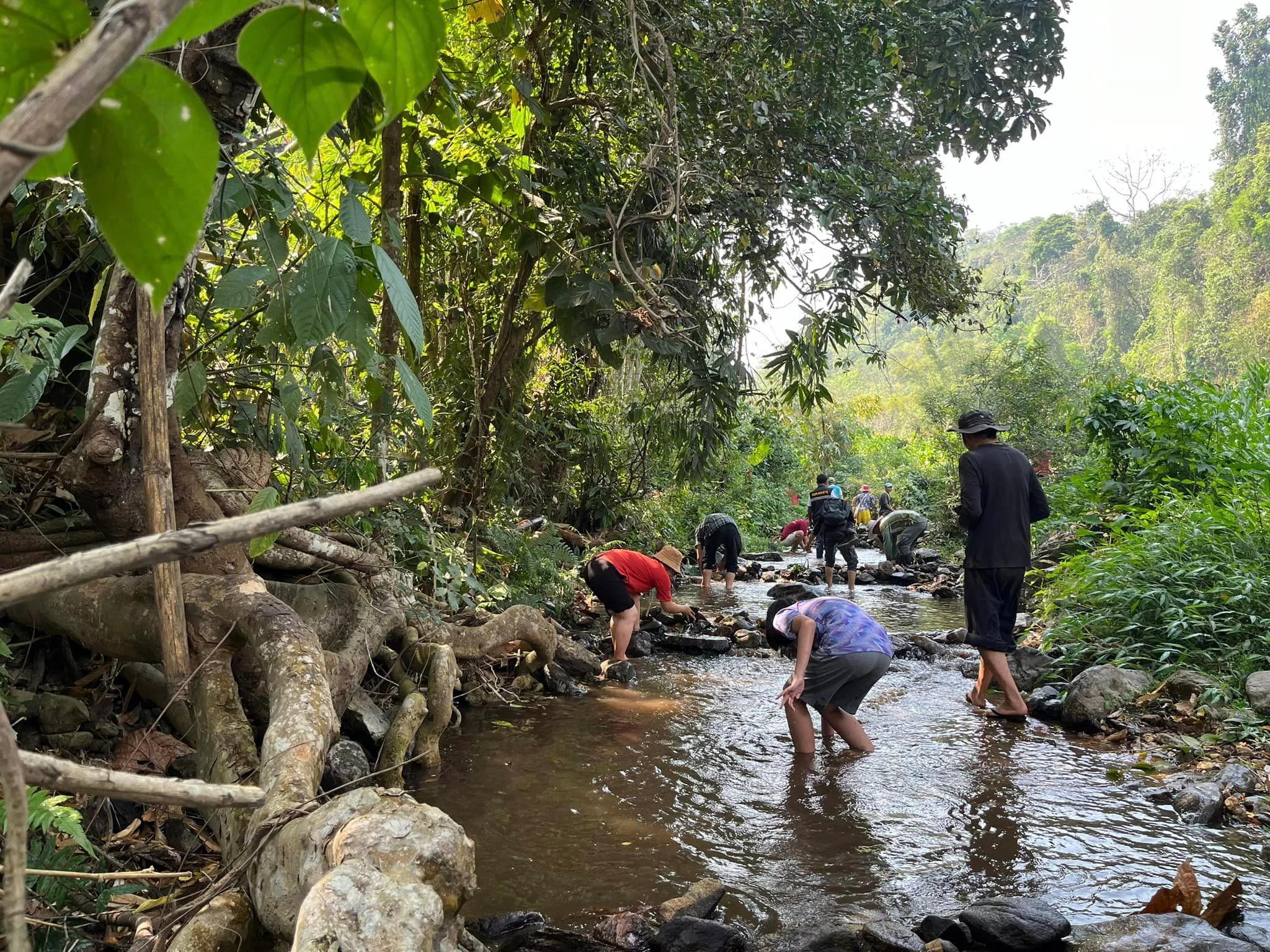 Cứ vài tháng một lần thì người dân trong làng, bất cả già trẻ lớn bé đều tập trung lại các con suối, dùng đá để tạo các con đập nhỏ, giảm lưu lượng dòng chảy, bảo vệ môi trường sống cho loài cá bản địa. Theo luật của người dân làng, ai không tham gia hoạt động của làng thì sẽ bị phạt tiền.