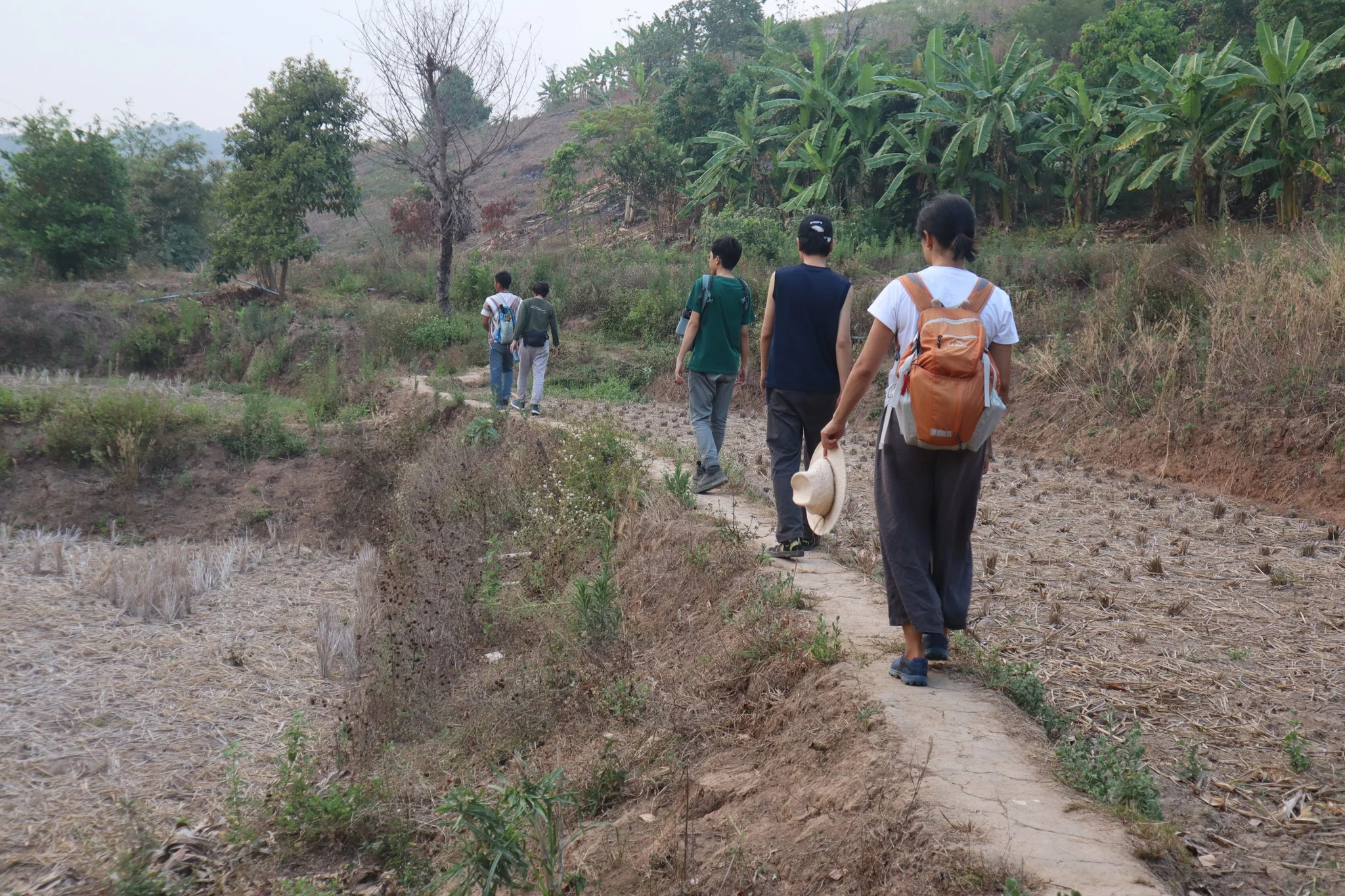 Đây là mảnh đất 6 hecta, nhưng chỉ cần 3 người làm việc trên khu đất này. Trong vòng 3-4 năm thì họ không chỉ đủ ăn mà còn có thể bán kiếm tiền, đủ để trả các khoản nợ cũ do trồng độc canh mía và sắn thua lỗ