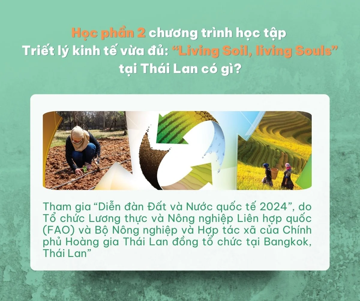 Xem ảnh gốc
