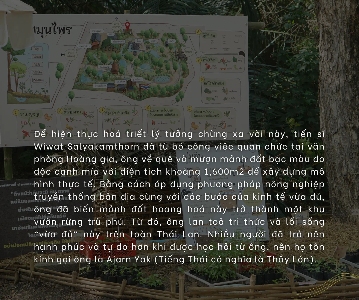 Xem ảnh gốc